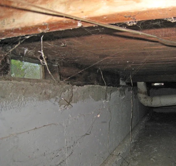 Crawl Space Water Damage Repair in Faribault, MN