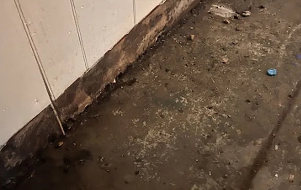 Sewage Water Removal in Waseca, MN