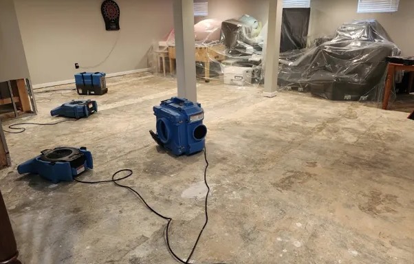 Document Drying Services in Mound, MN